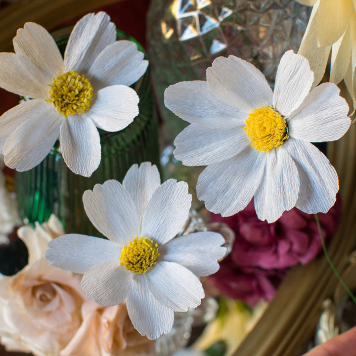 Cosmos paper flower