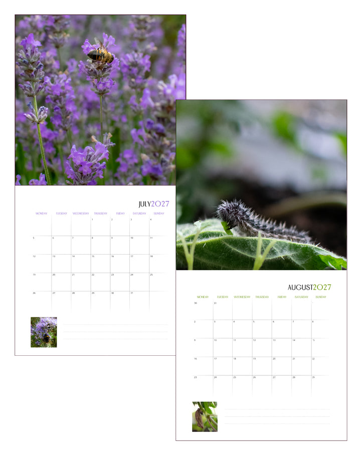 Creatures Of The Bee Garden Calendar 2027
