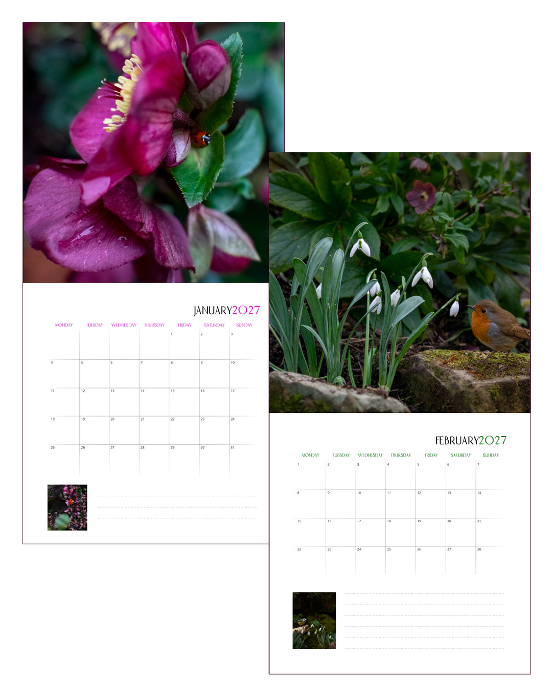 Creatures Of The Bee Garden Calendar 2027