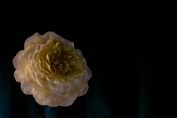 Rose paper flower