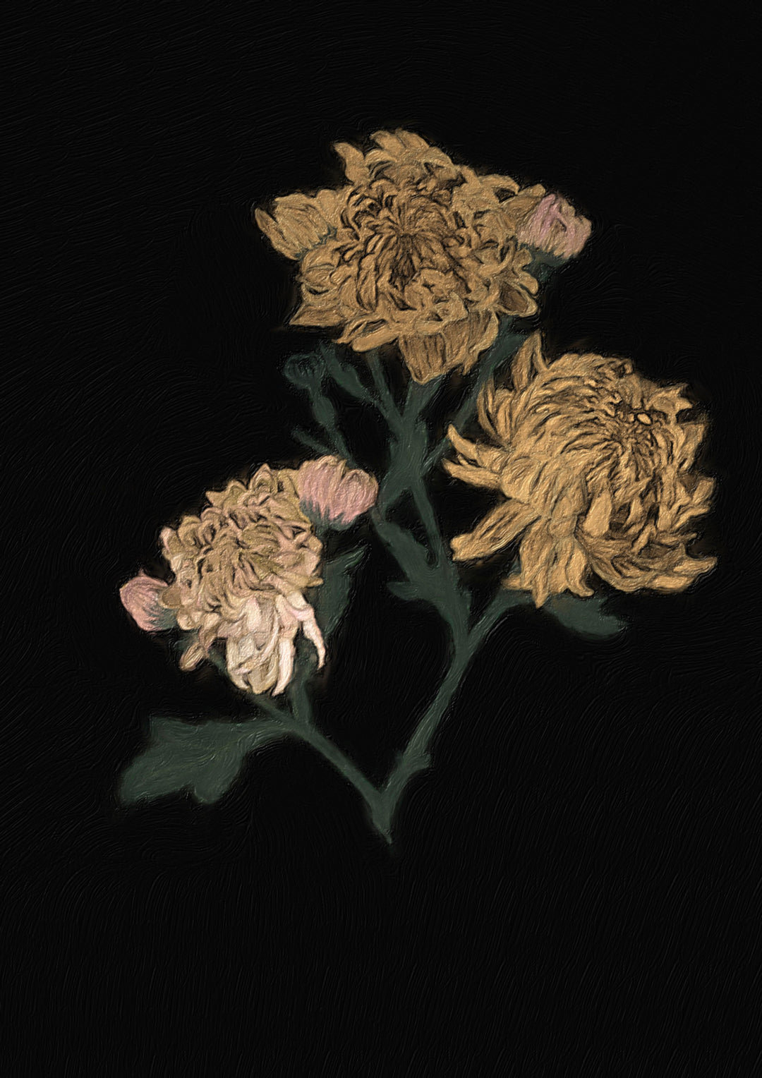 Chrysanthemum card