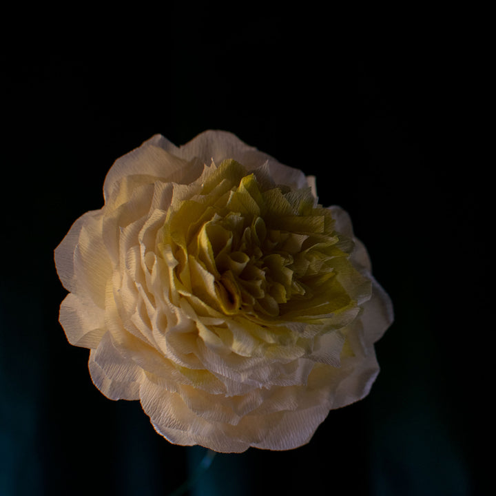 Rose paper flower