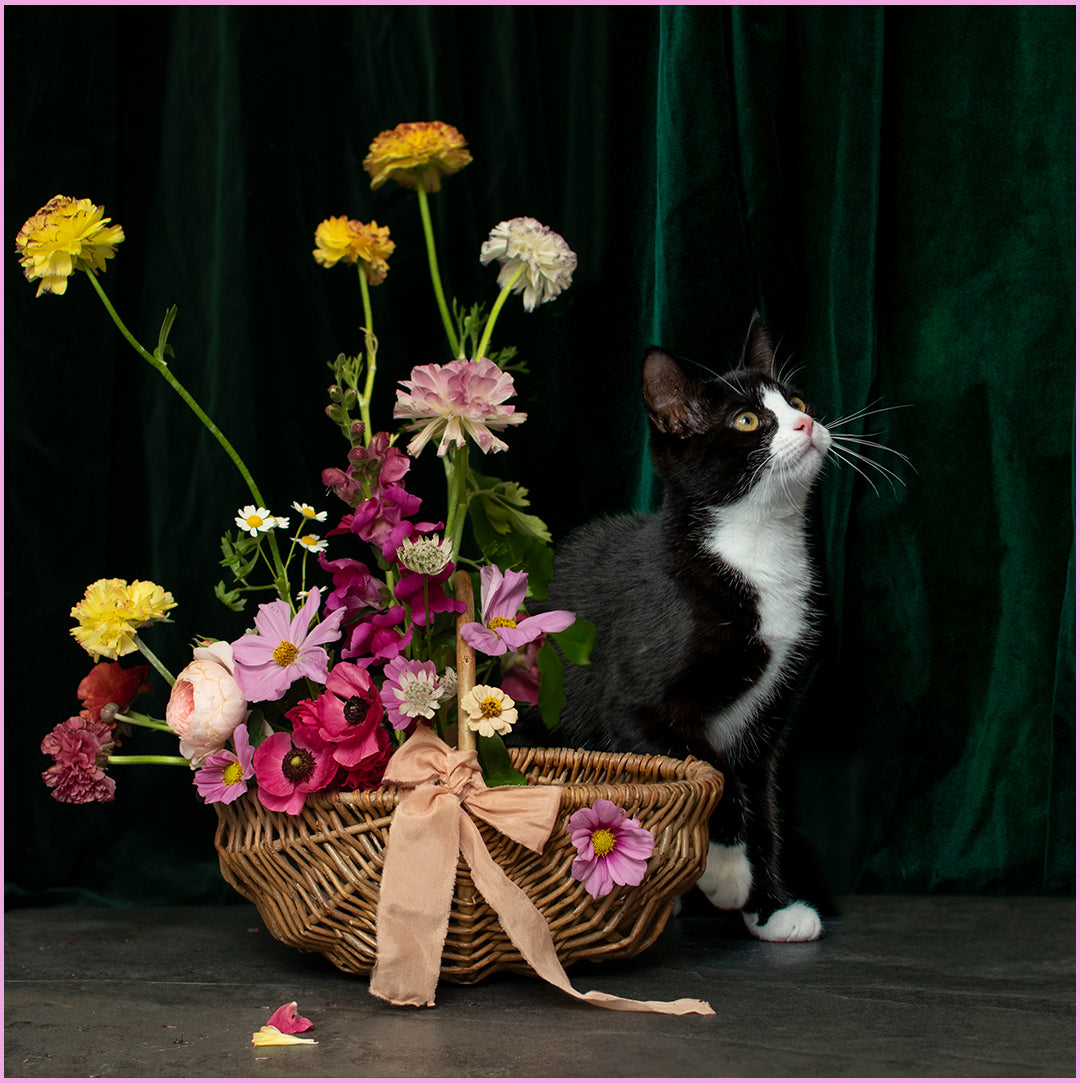 Zazou The Kitten and The Bee Garden Flowers Calendar