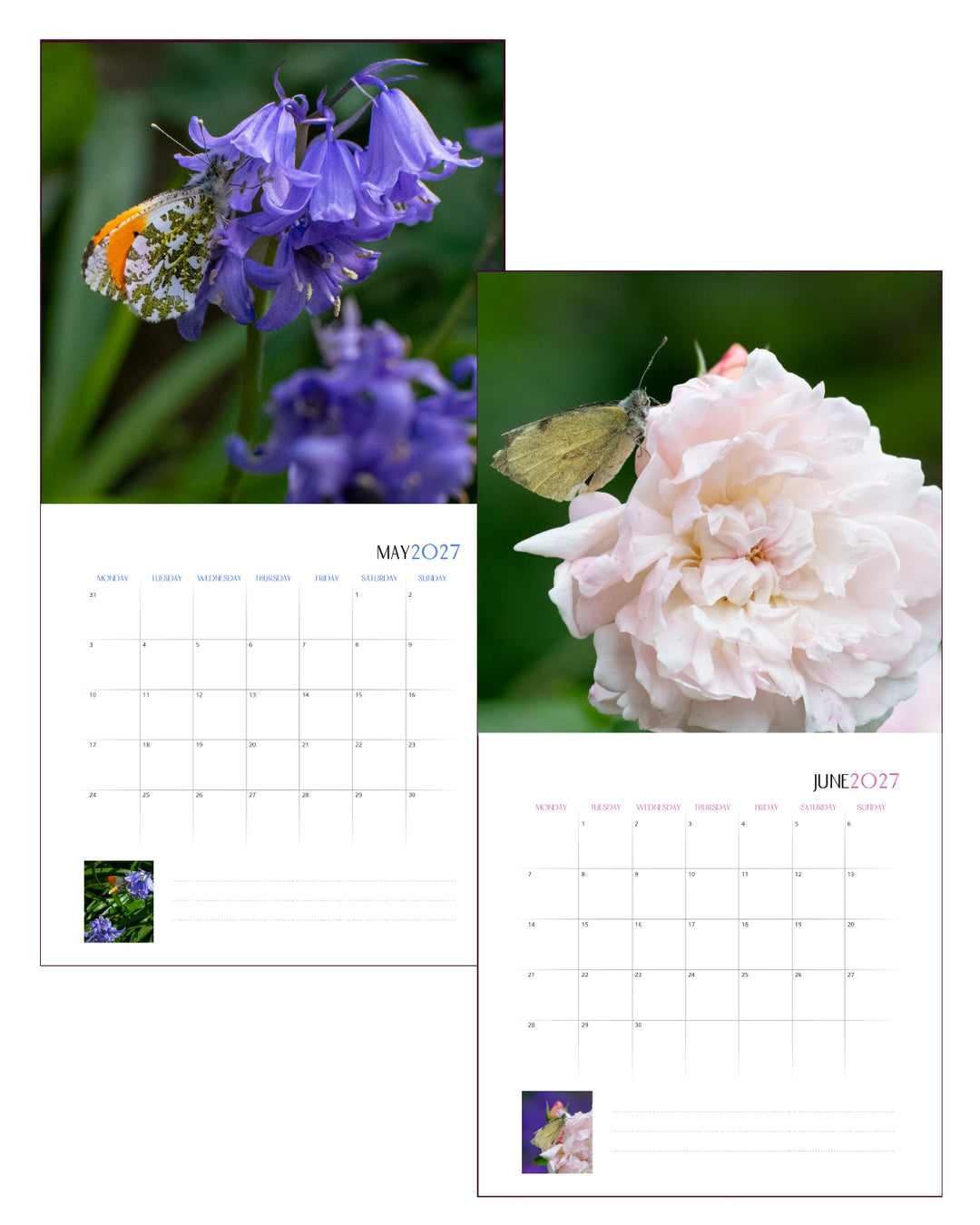 Creatures Of The Bee Garden Calendar 2027