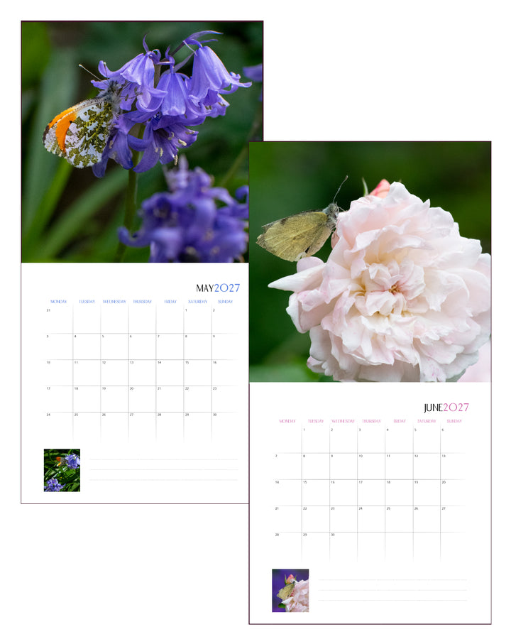 Creatures Of The Bee Garden Calendar 2027