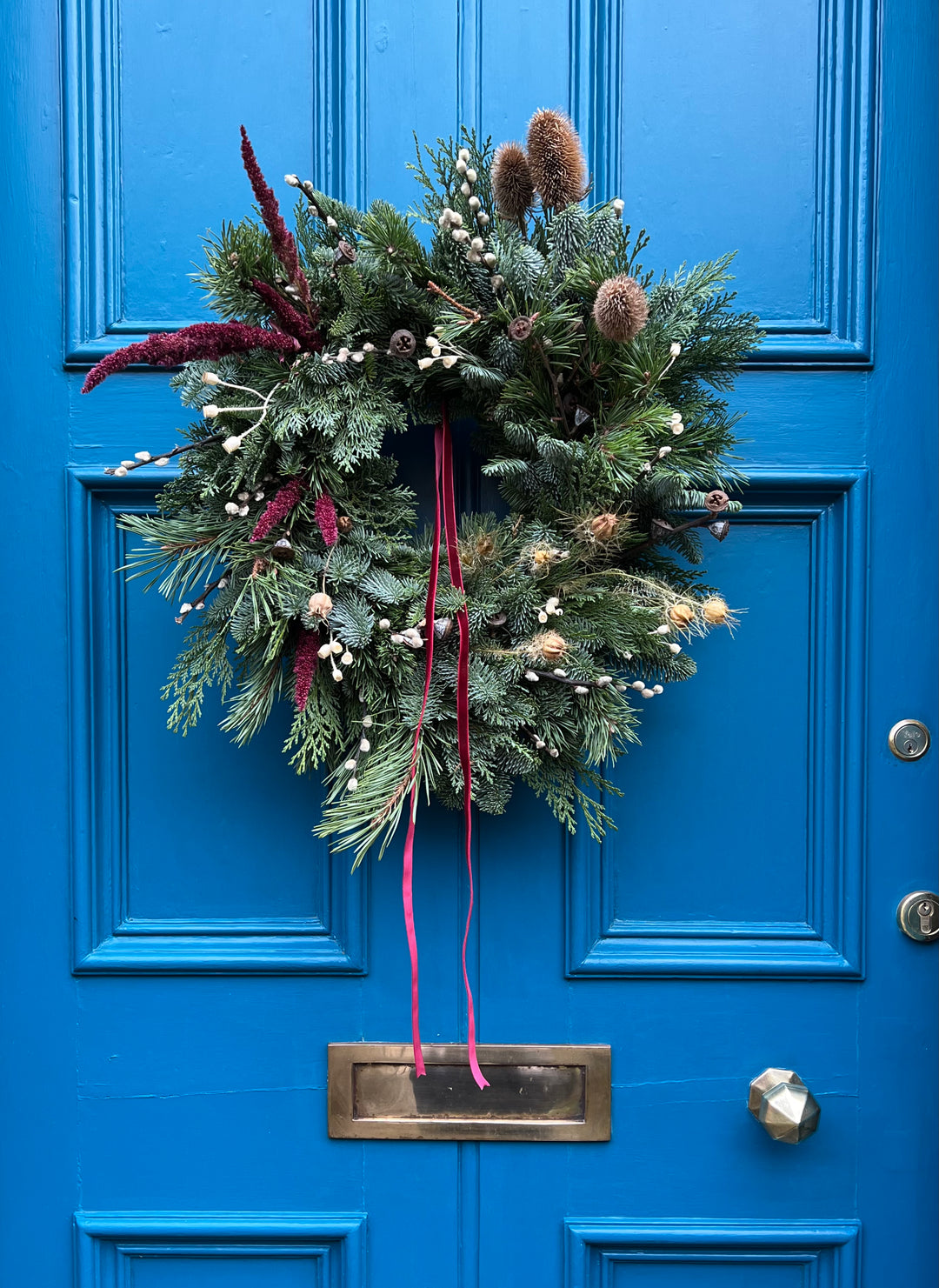 Winters wreath Seed Pod