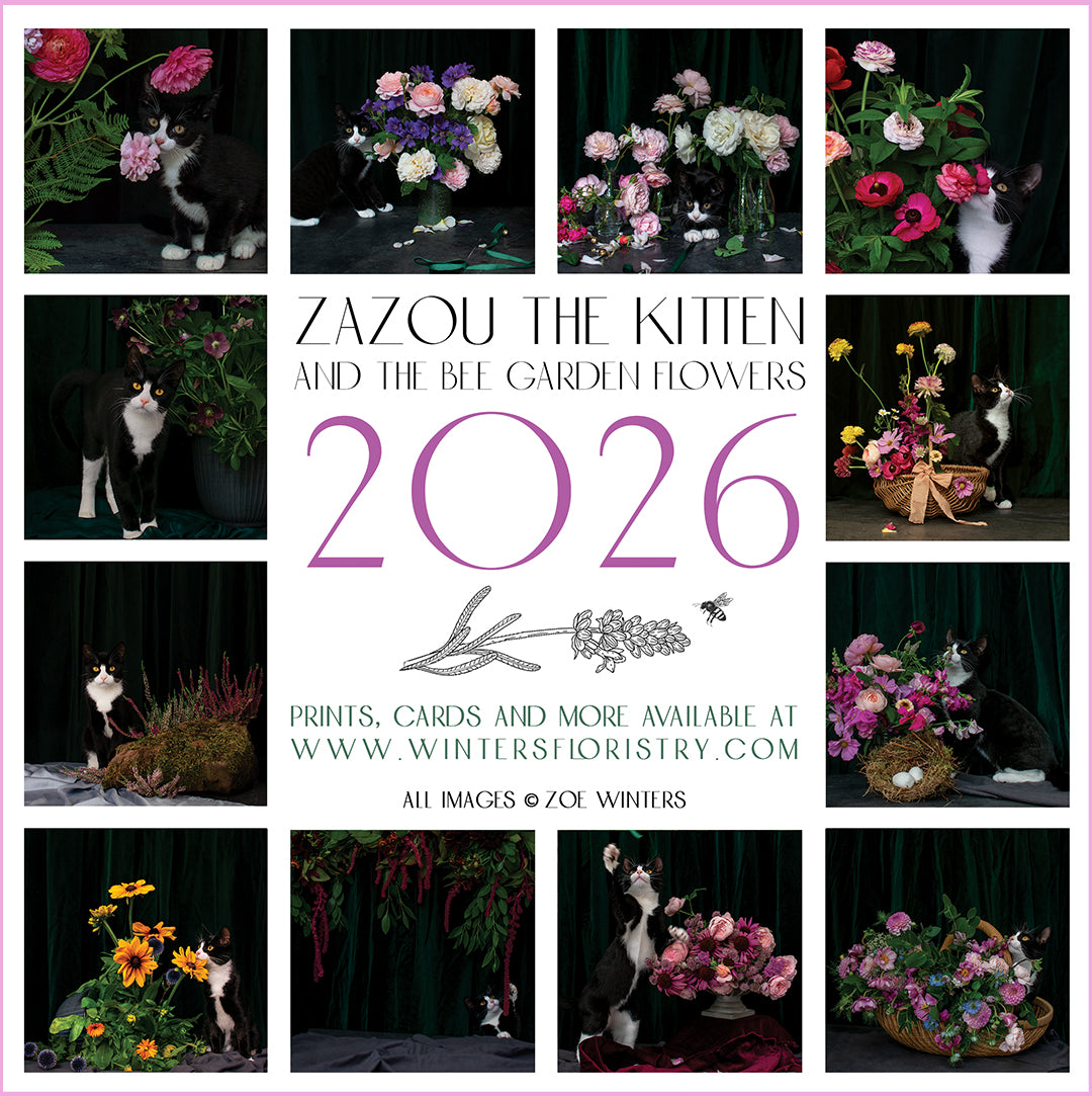 Zazou The Kitten and The Bee Garden Flowers Calendar