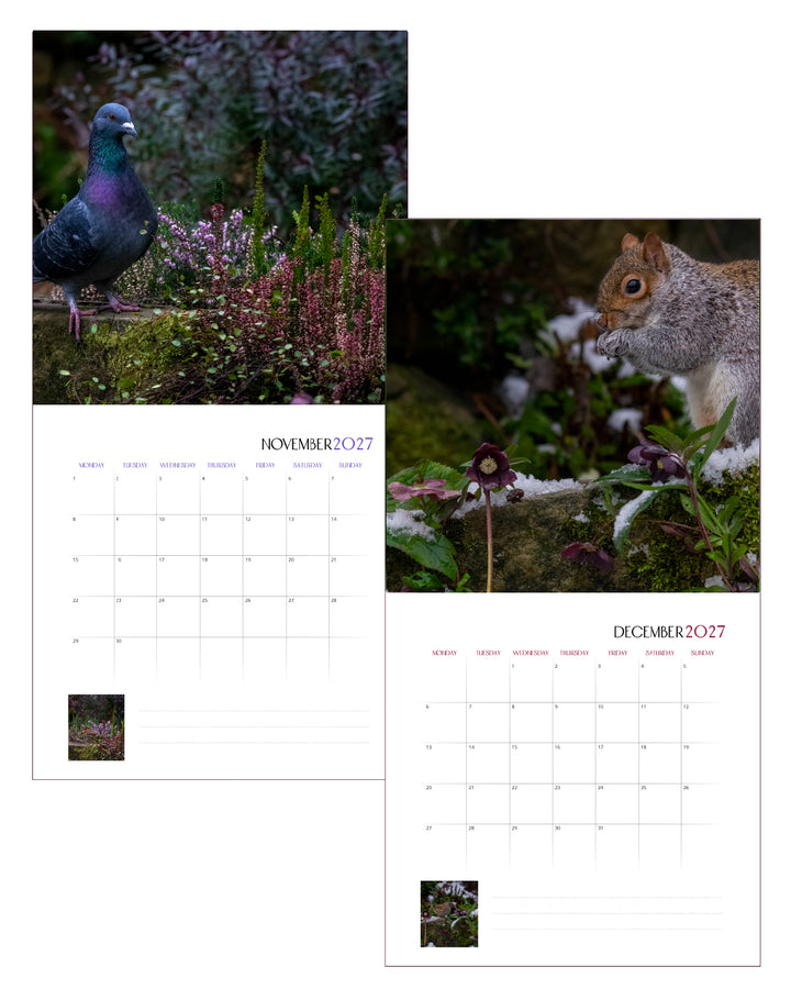 Creatures Of The Bee Garden Calendar 2027