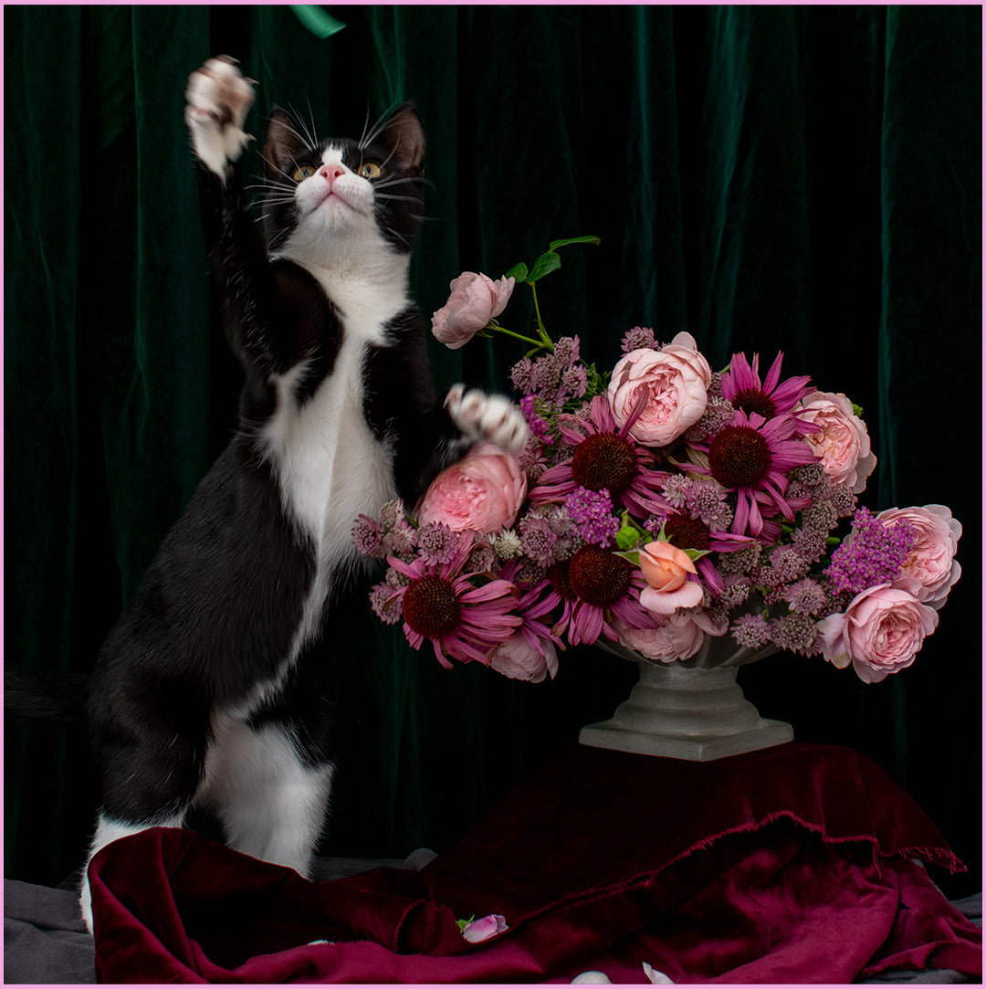Zazou The Kitten and The Bee Garden Flowers Calendar