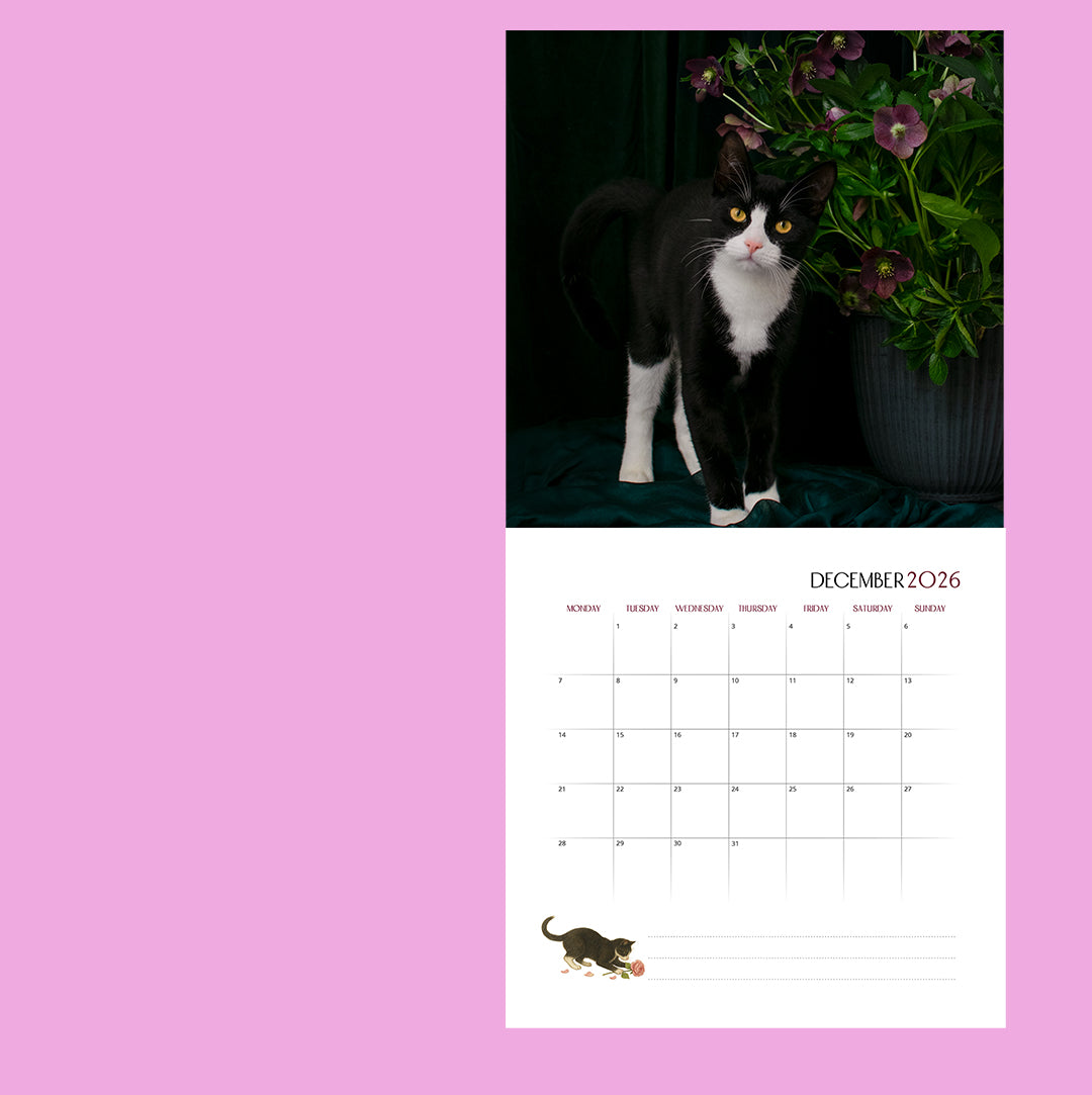 Zazou The Kitten and The Bee Garden Flowers Calendar