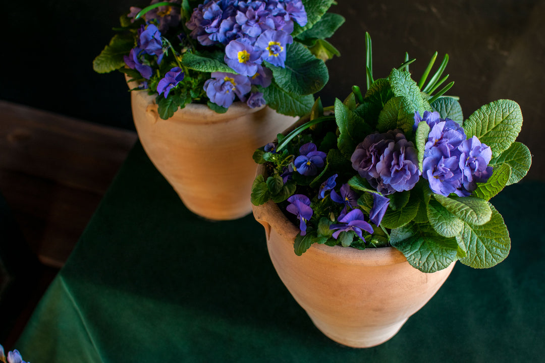 Iridescent dream pot