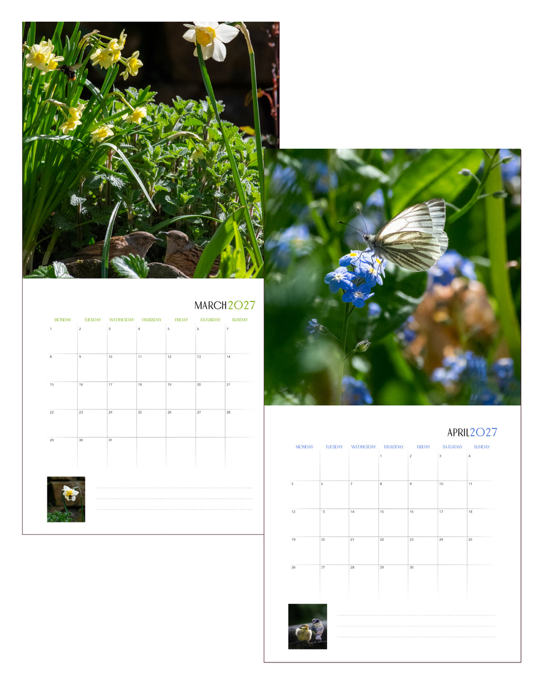 Creatures Of The Bee Garden Calendar 2027
