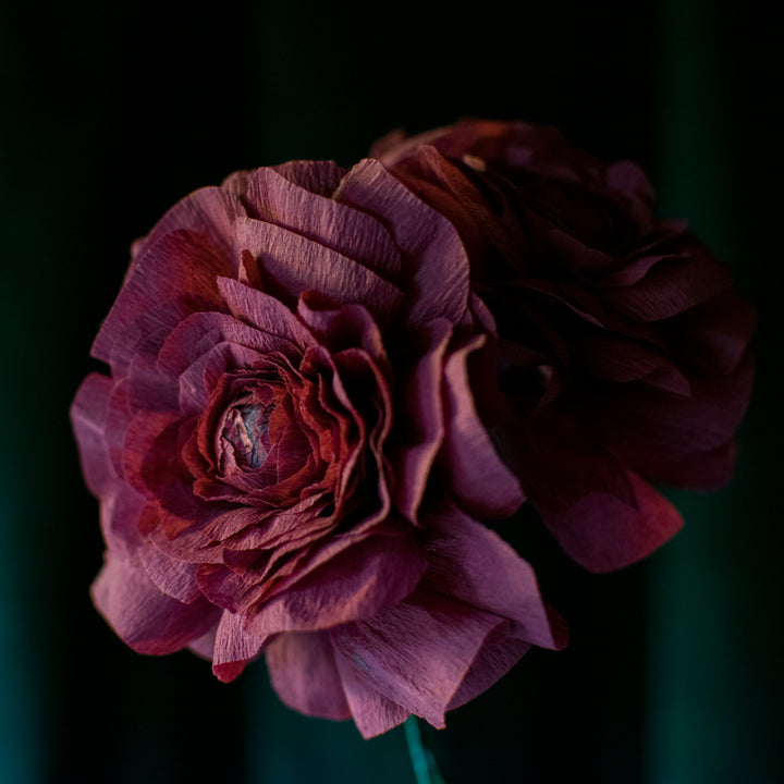 Viola Ranunculus paper flower