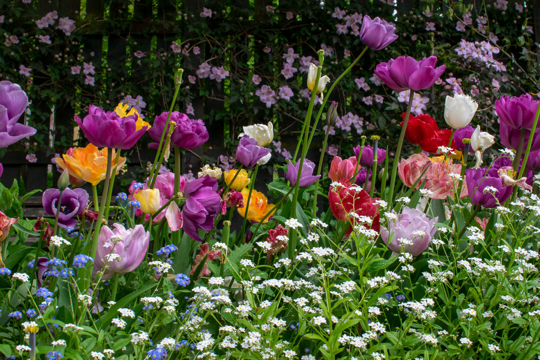 The Bee Garden Bouquet