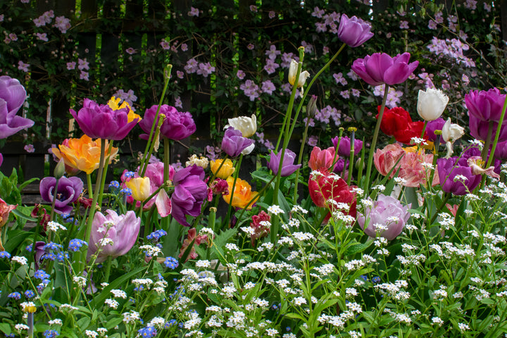 The Bee Garden Bouquet