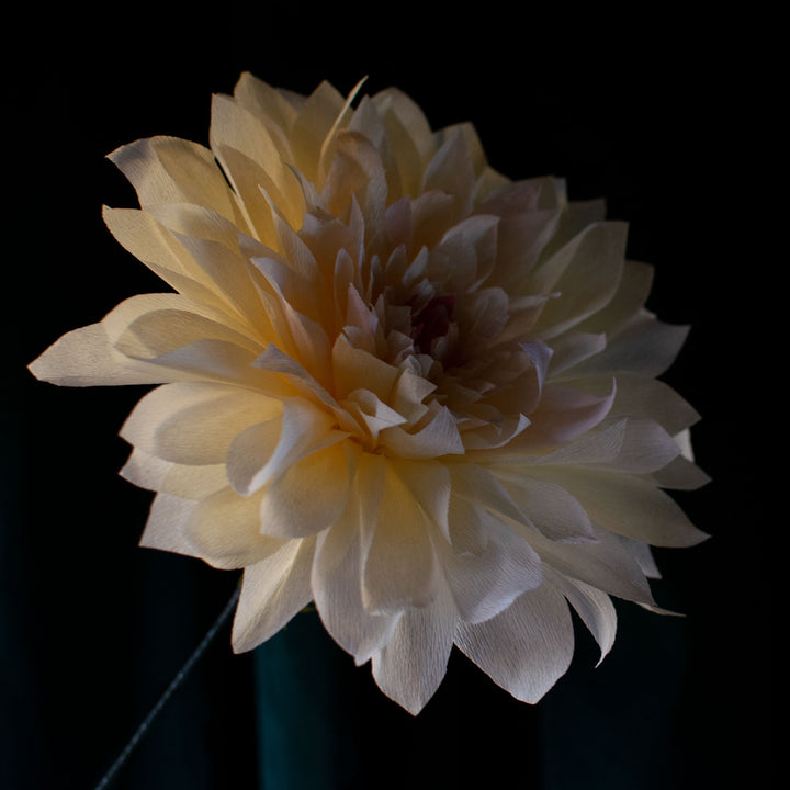Dahlia paper flower