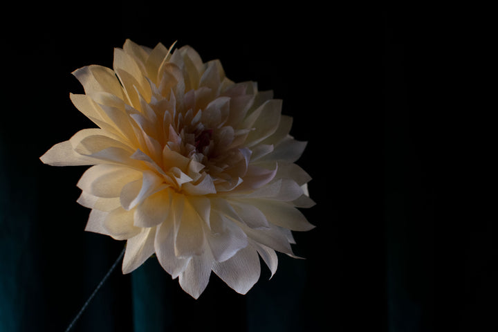 Dahlia paper flower