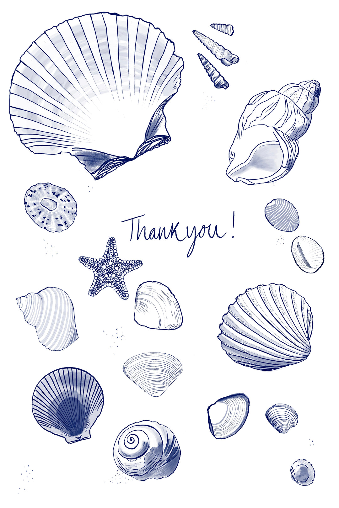Sea shells Thank you card