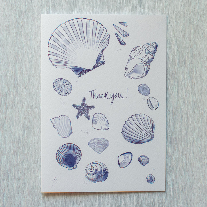Sea shells Thank you card